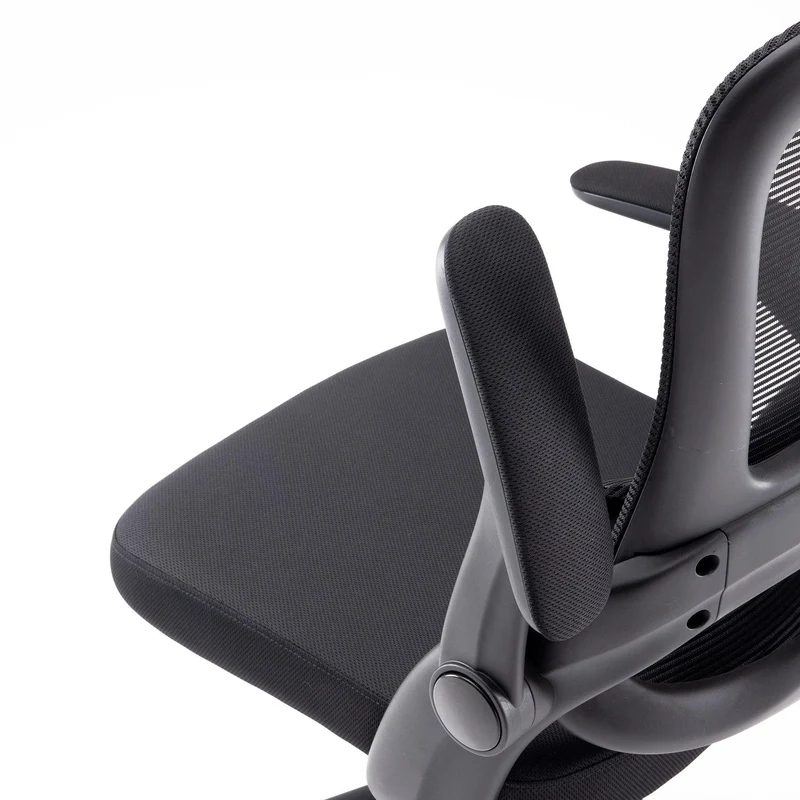 Sihoo M102C Lightweight Ergonomic Office Chair with Basic Support