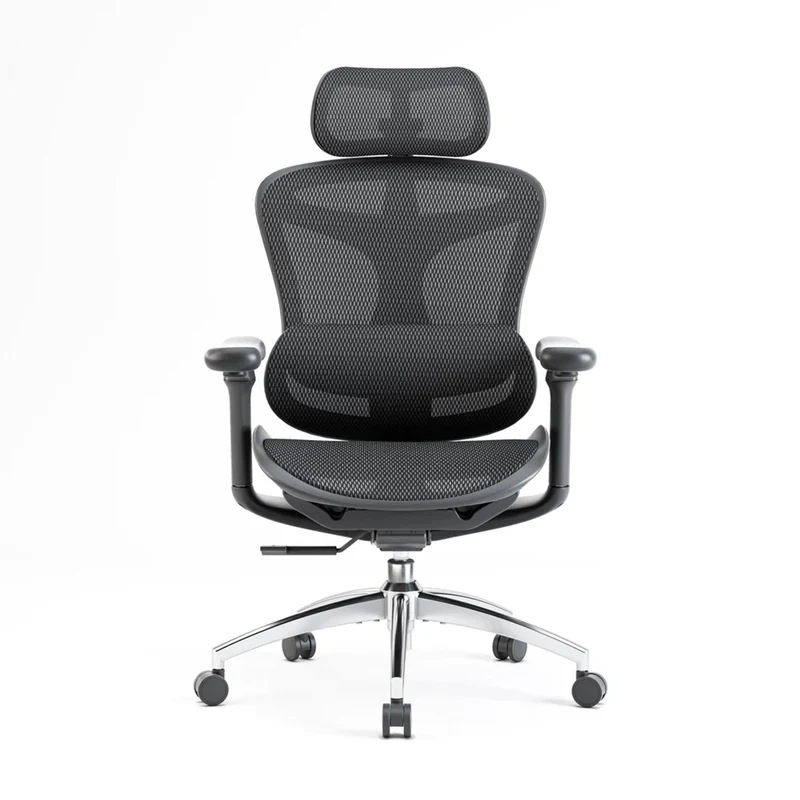 Sihoo C300 Ergonomic Office Chair with Advanced Back Support