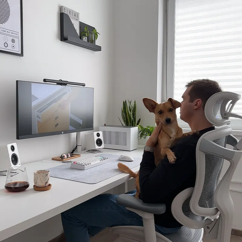 Sihoo C300 Ergonomic Office Chair with Advanced Back Support