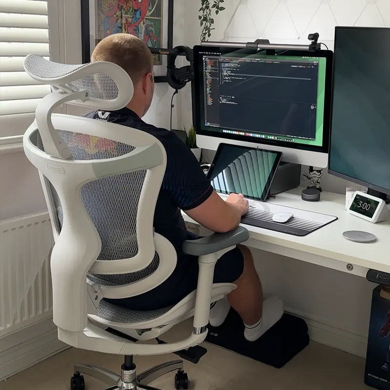 Sihoo C300 Ergonomic Office Chair with Advanced Back Support