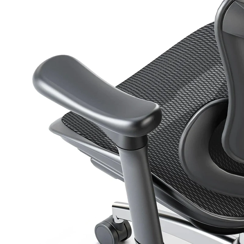 Sihoo C300 Ergonomic Office Chair with Advanced Back Support