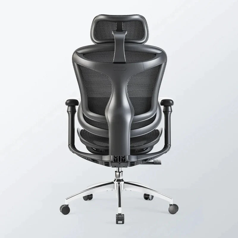 Sihoo C300 Ergonomic Office Chair with Advanced Back Support