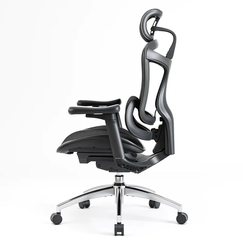 Sihoo C300 Ergonomic Office Chair with Advanced Back Support