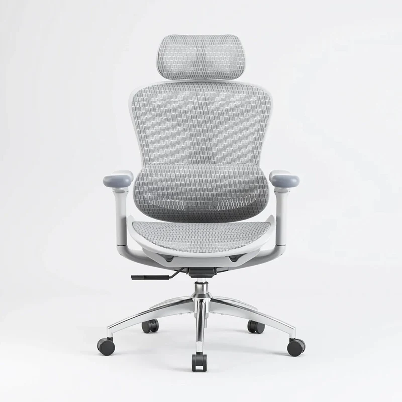Sihoo C300 Ergonomic Office Chair with Advanced Back Support