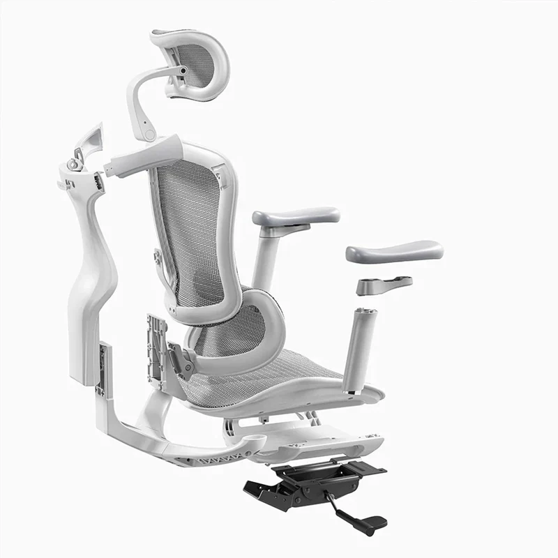 Sihoo C300 Ergonomic Office Chair with Advanced Back Support