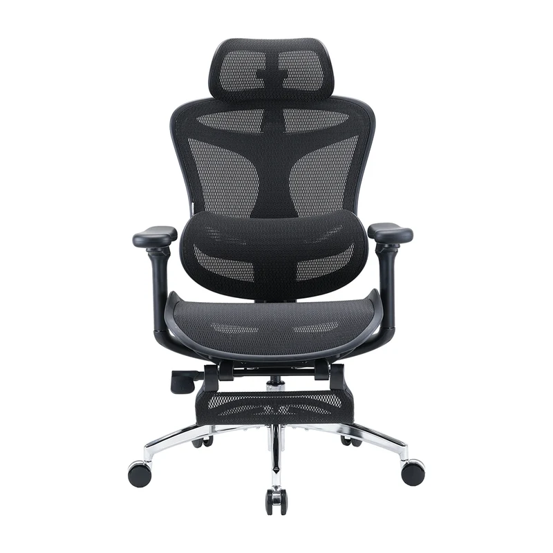 Sihoo C300 Ergonomic Office Chair with Advanced Back Support