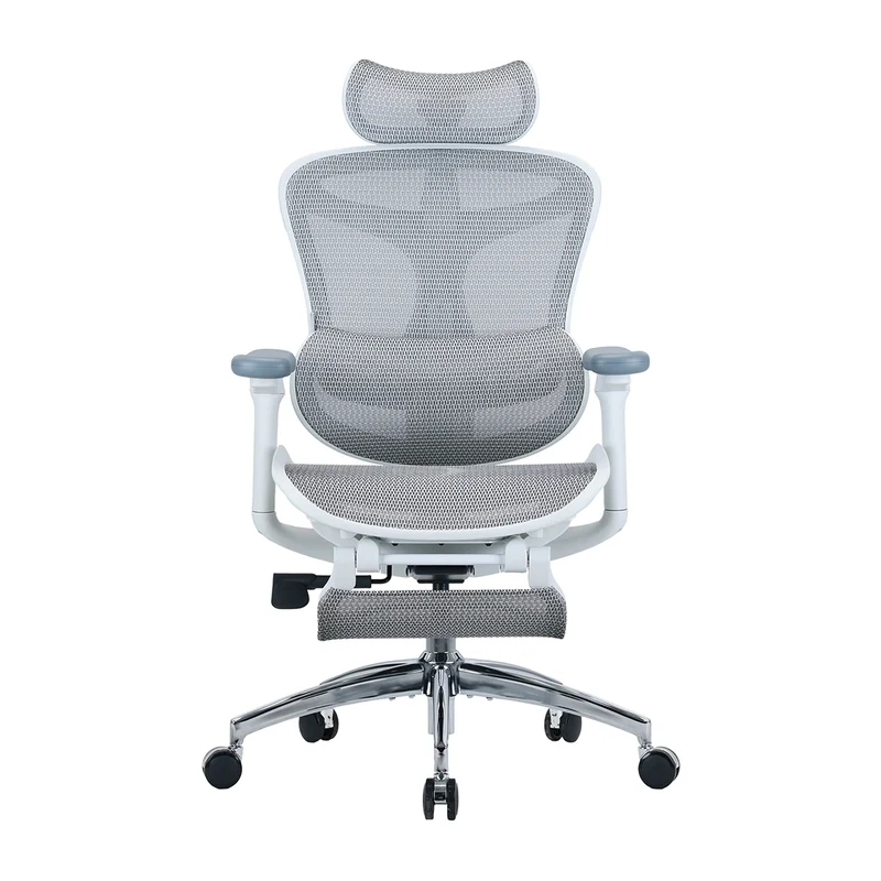 Sihoo C300 Ergonomic Office Chair with Advanced Back Support