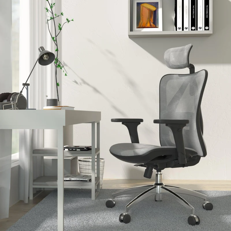 Sihoo M57 Ergonomic Office Chair with Breathable Mesh Cushion