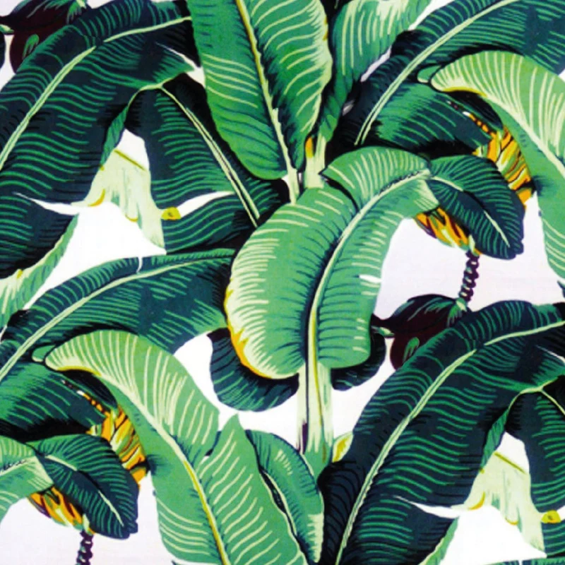 Cover Urban Jungle