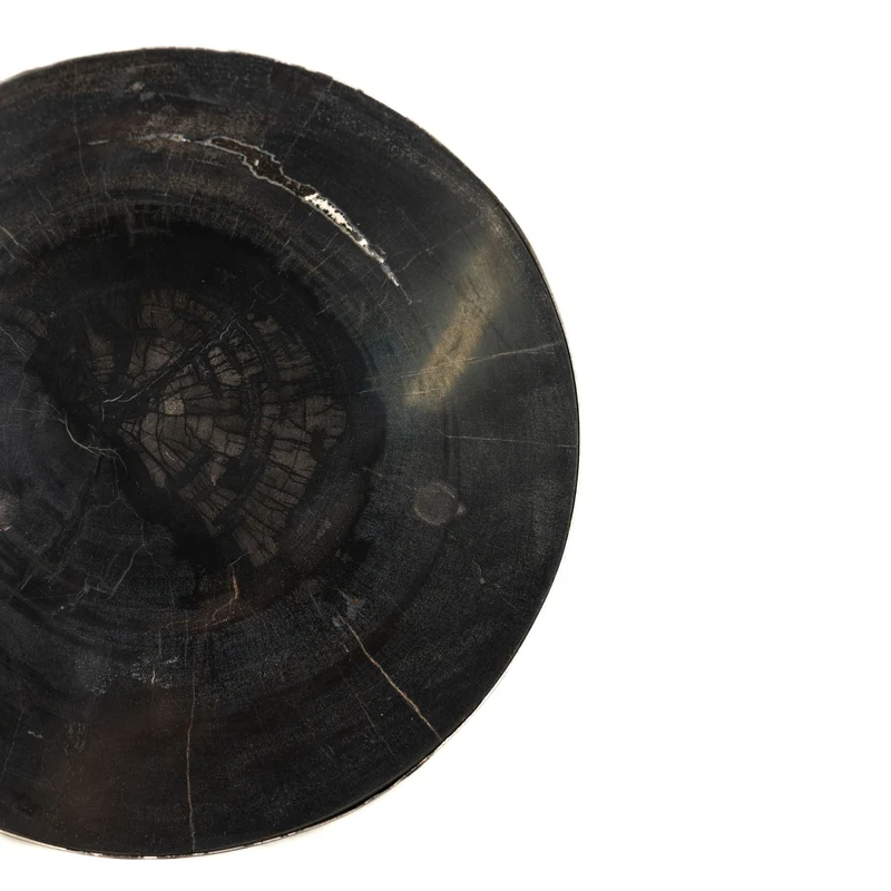 Beistelltisch Rillix Black Versteinertes Holz