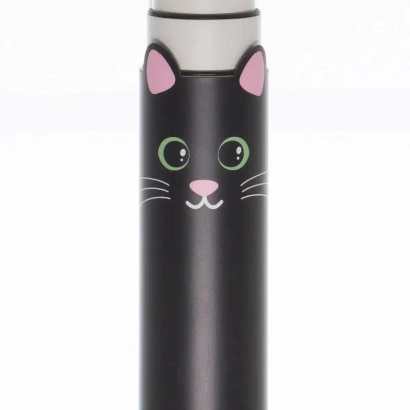 Cover Katze Salem
