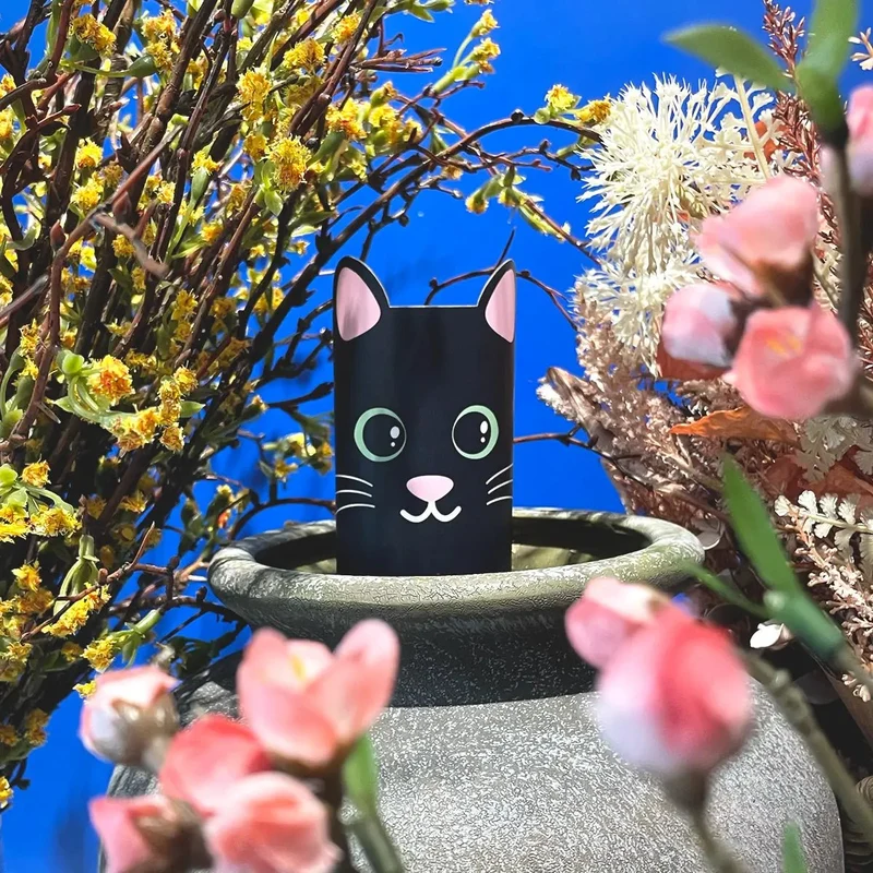 Cover Katze Salem