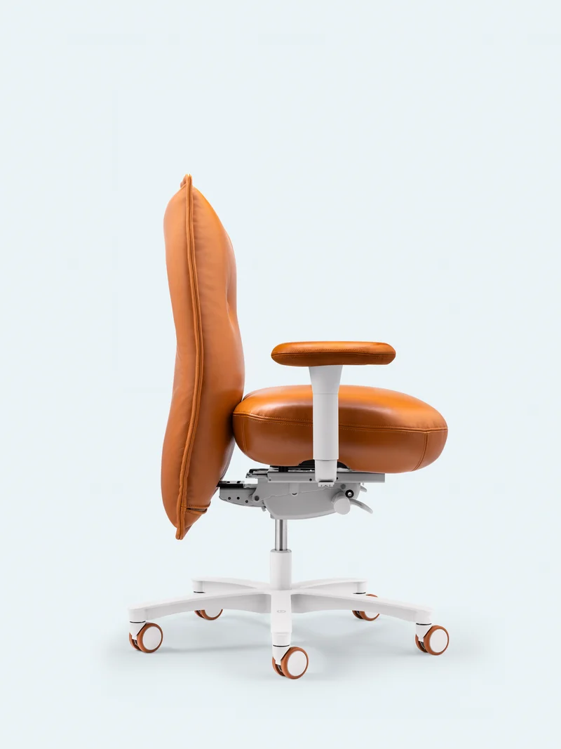 Brasilian Chair