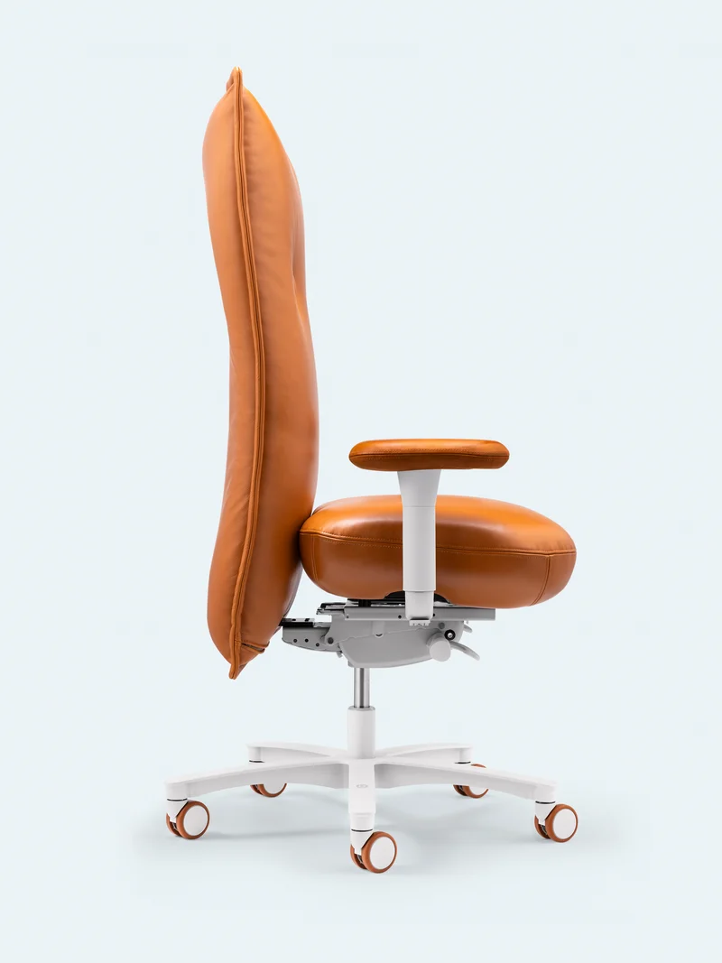 Brasilian Chair