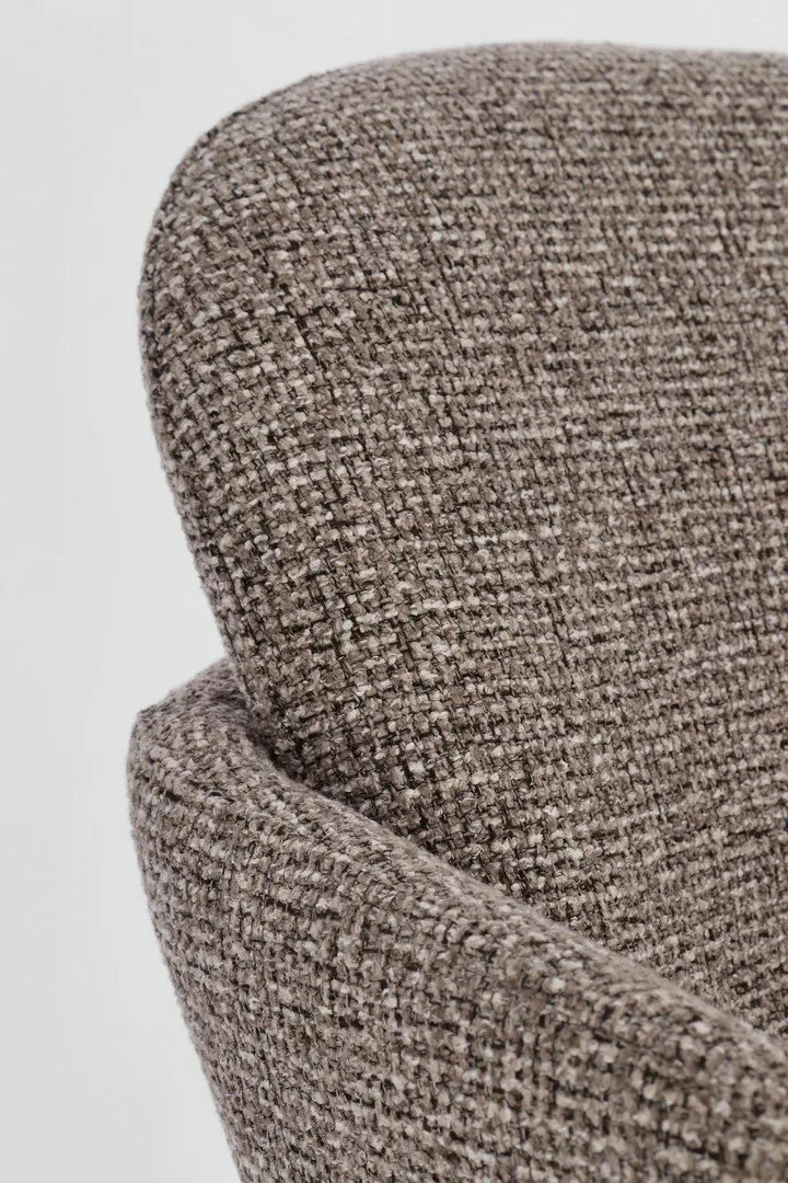 Stuhl Ercilla Olivgrau | Taupe, Armlehnen, Beine dunkelsilber
