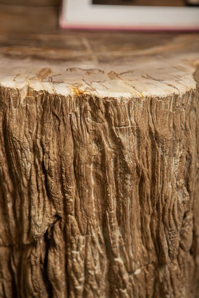 Beistelltisch Taly Natur Rund | Versteinertes Holz als skulpturales Unikat