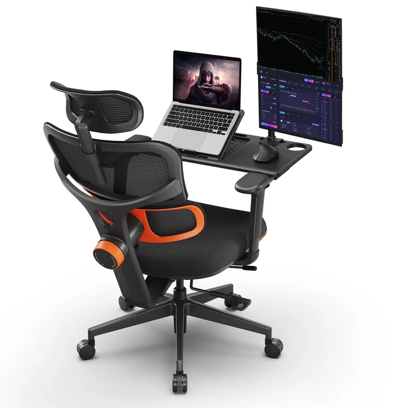 NT001 Ergonomic Home Office Chair with Auto-Following Lumbar Support