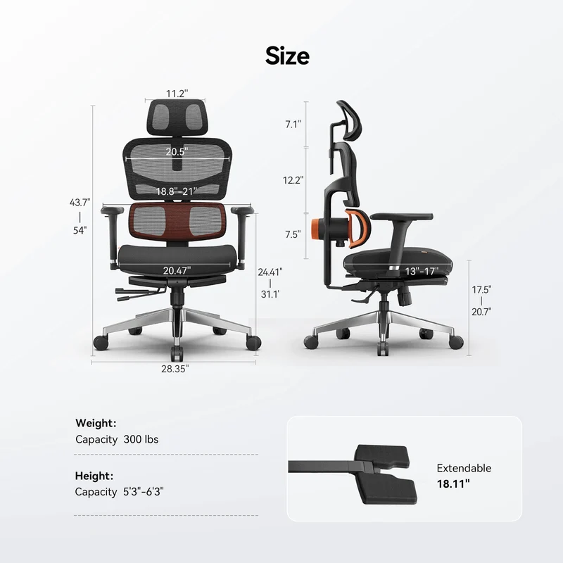 NT002 Ergonomic Home Office Chair with Auto-Following Lumbar Support & Footrest