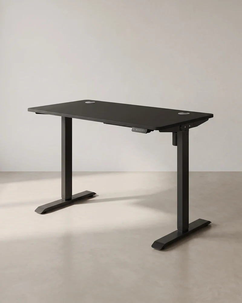 Elektrisch verstellbarer Schreibtisch - Stehpult - Mit Rollen - Ergonomisch