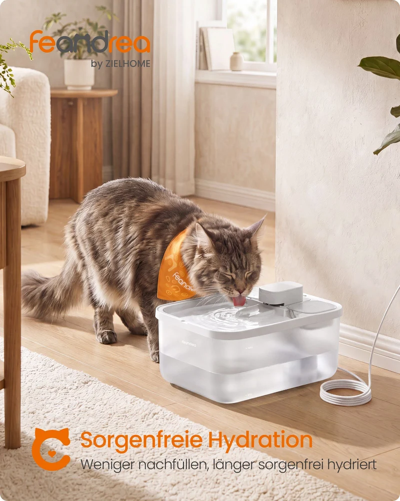 Trinkbrunnen Für Katzen - Flüsterleise - Mit Dreifachem Filtersystem