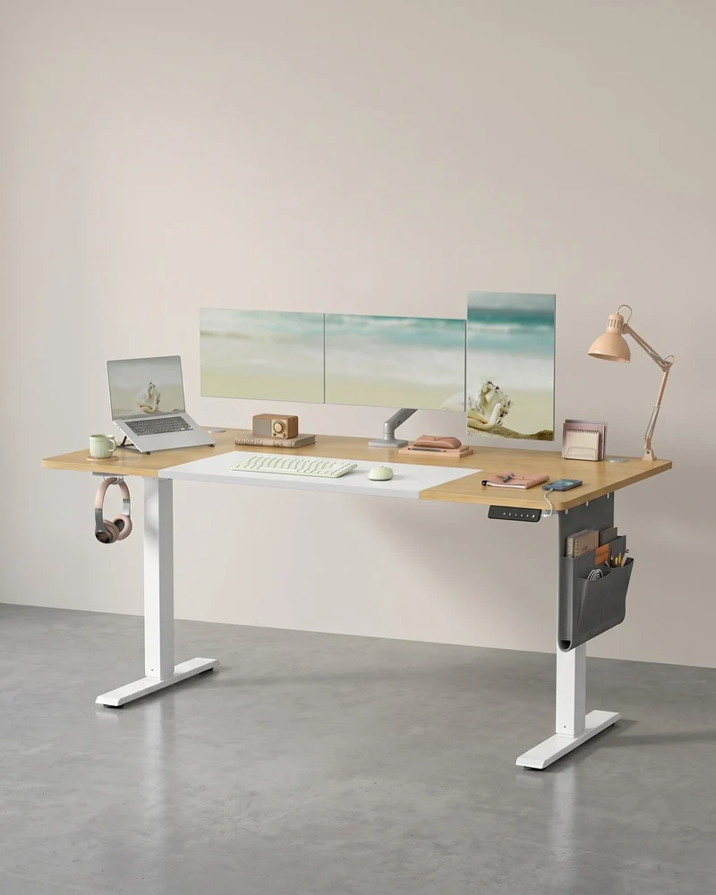 Komplettes Arbeitsplatz-Budget – Elektrischer Sitz-Steh-Schreibtisch + ergonomischer Bürostuhl – Höhenverstellbarer Schreibtisch – Heimarbeitsplatz