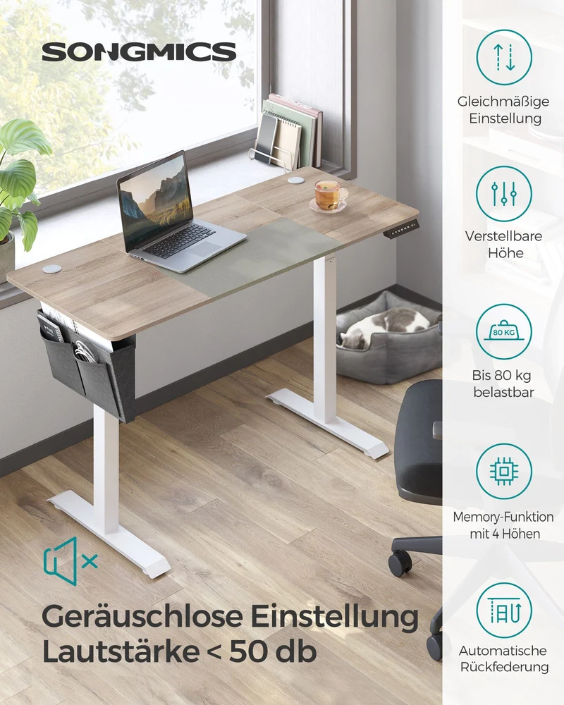 Komplettes Arbeitsplatz-Budget – Elektrischer Sitz-Steh-Schreibtisch + ergonomischer Bürostuhl – Höhenverstellbarer Schreibtisch – Heimarbeitsplatz