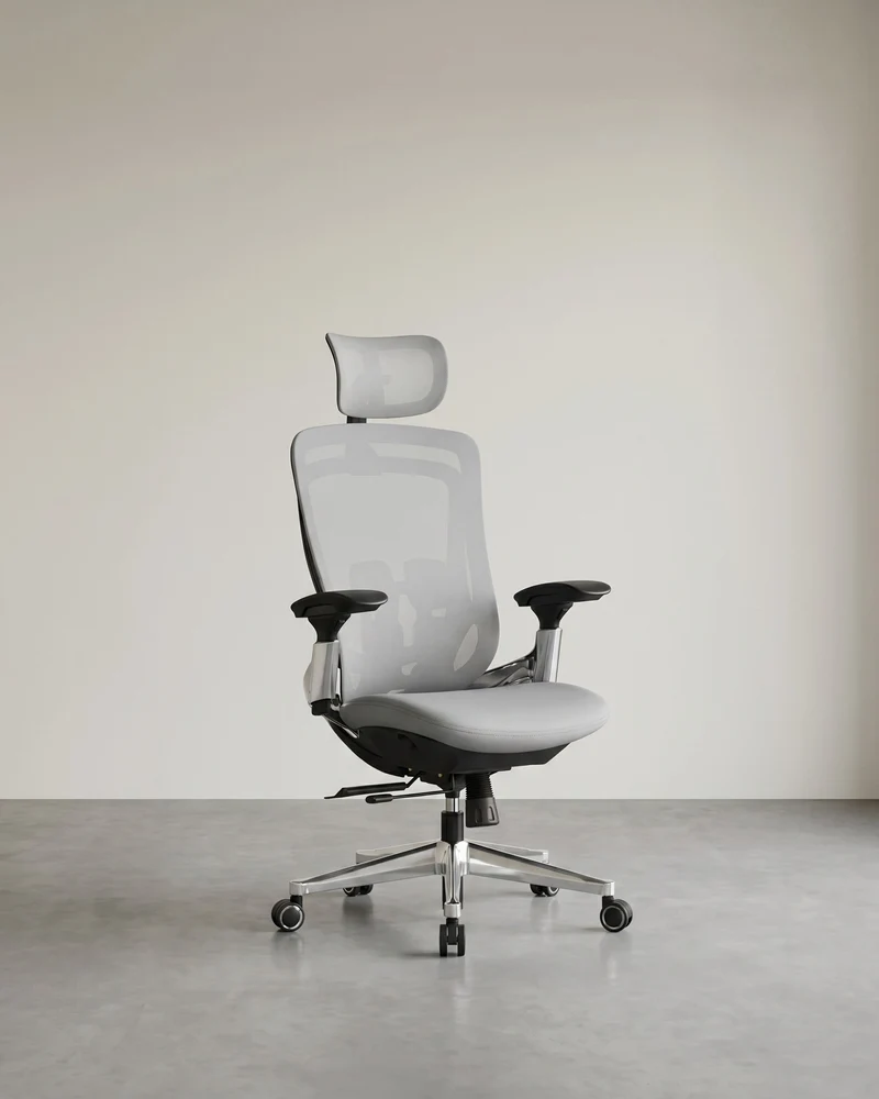 Ergonomischer Bürostuhl Ergo Elite 2.0 – stufenlos verstellbar – 6-teilige TPR-Lendenwirbelstütze – Tragkraft bis 150 kg
