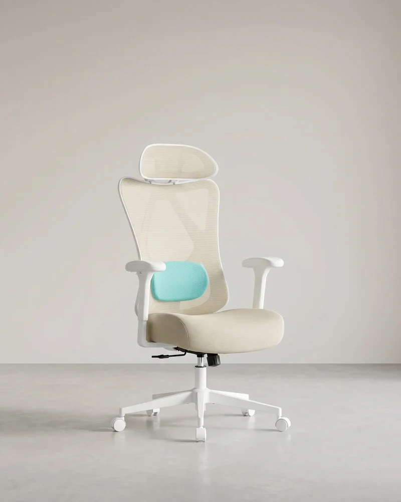 Ergonomischer Bürostuhl – Verstellbare Rücken- und Armlehne – Verstellbare Kopfstütze – 150 kg Tragkraft