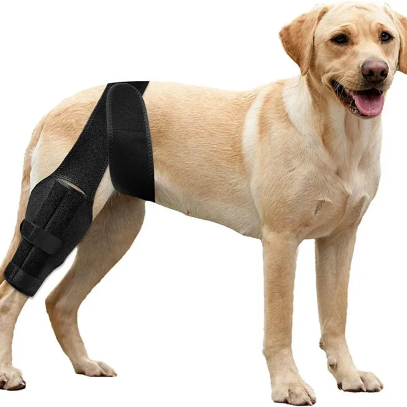Kniestütze für Hunde ™ | Sanfte Stütze für Hundeglück