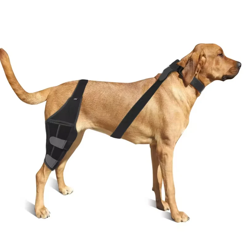 Kniestütze für Hunde ™ | Sanfte Stütze für Hundeglück