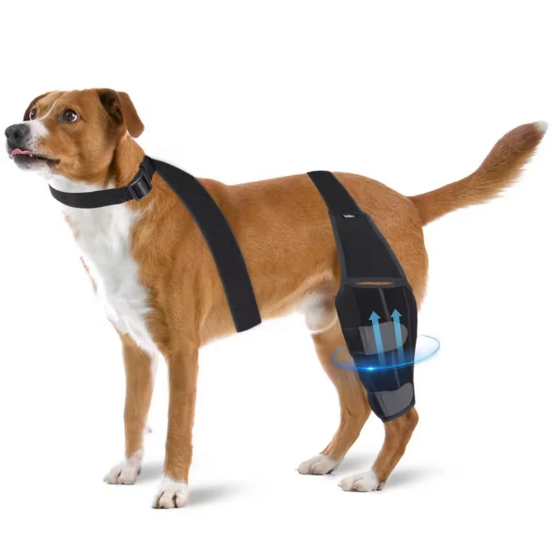 Kniestütze für Hunde ™ | Sanfte Stütze für Hundeglück