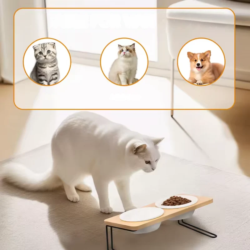 Erhöhte Katzennäpfe ™ | Erhöhter Futterplatz voller Liebe