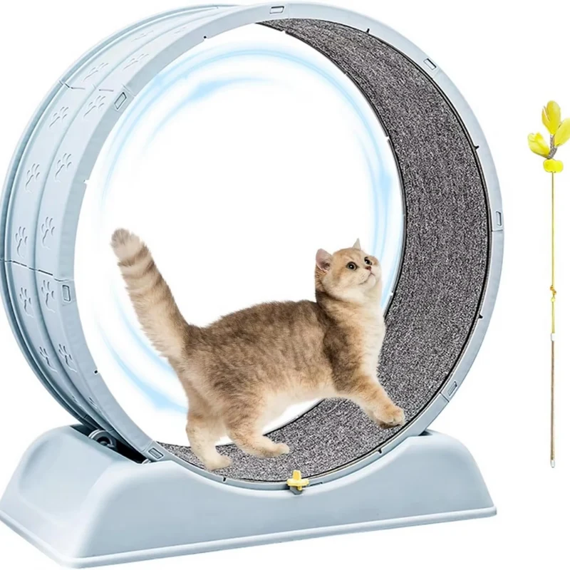 Katzenlaufrad für Hauskatzen™ | Spielspaß, Fitness & Lebensfreude