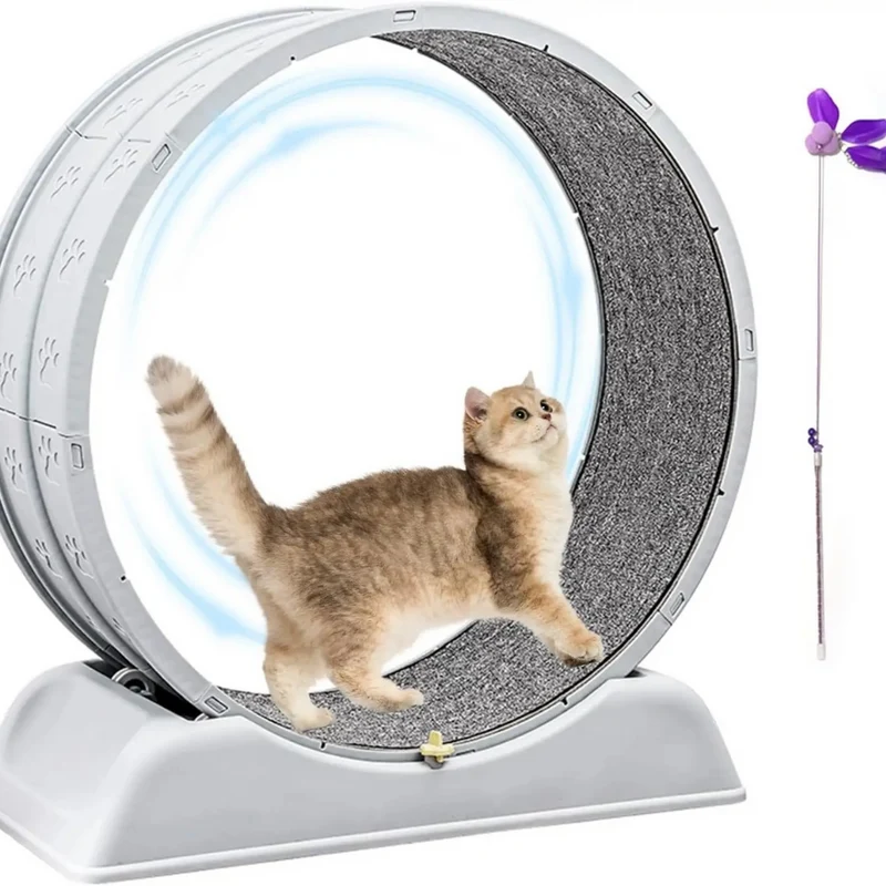 Katzenlaufrad für Hauskatzen™ | Spielspaß, Fitness & Lebensfreude