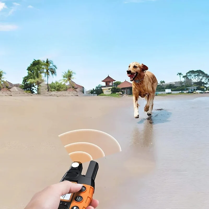 Hundetrainingshalsb and mit Fernbedienung™ | Sicheres Training, glücklicher Hund