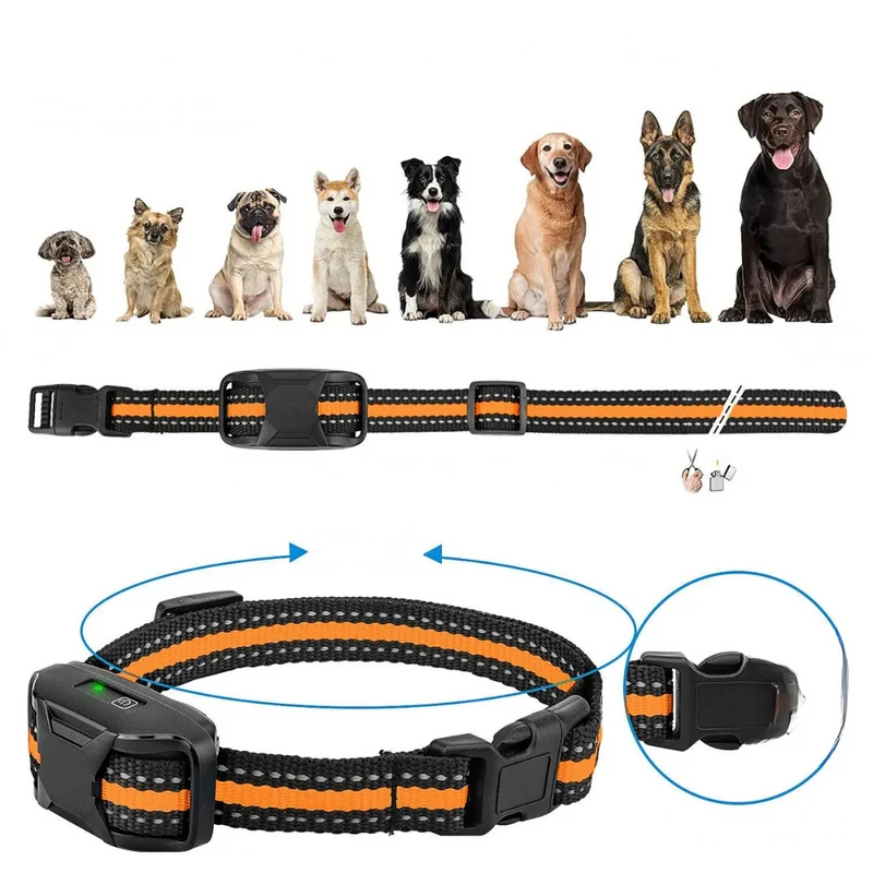 Hundetrainingshalsb and mit Fernbedienung™ | Sicheres Training, glücklicher Hund