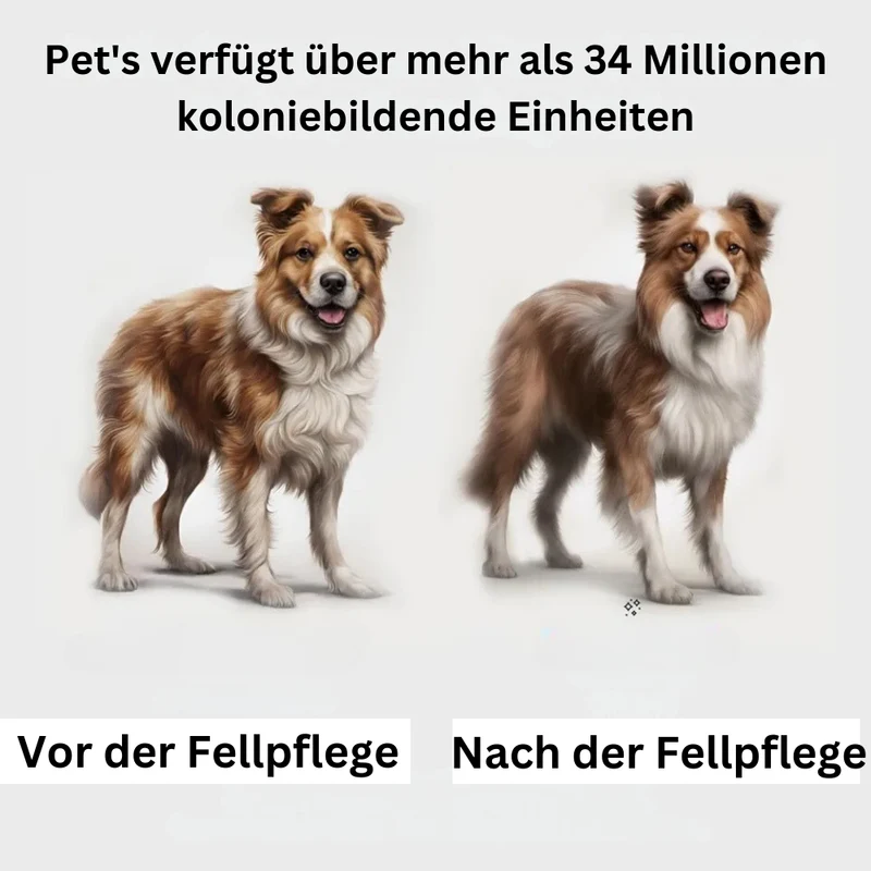 Staubsauger für Tierhaare™ | Saubere und einfache Pflege