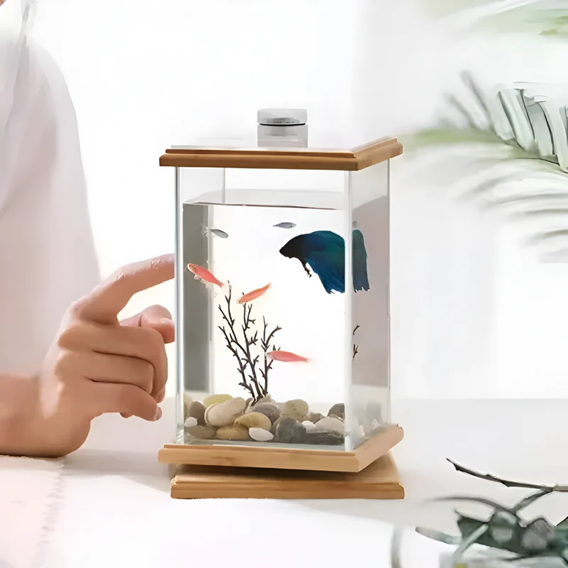 Papageienspielständer mit Tasse™ | Abenteuerplatz für glückliche Vögel