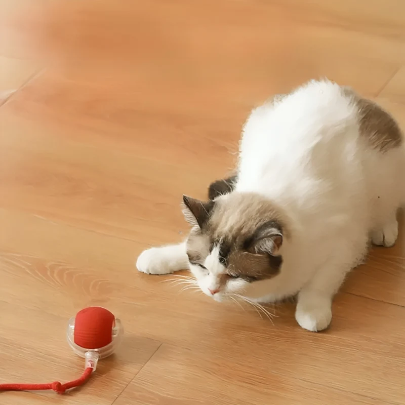Interaktiver Katzenball-Teaser™ | Emotionaler Spielspaß Für Katzen