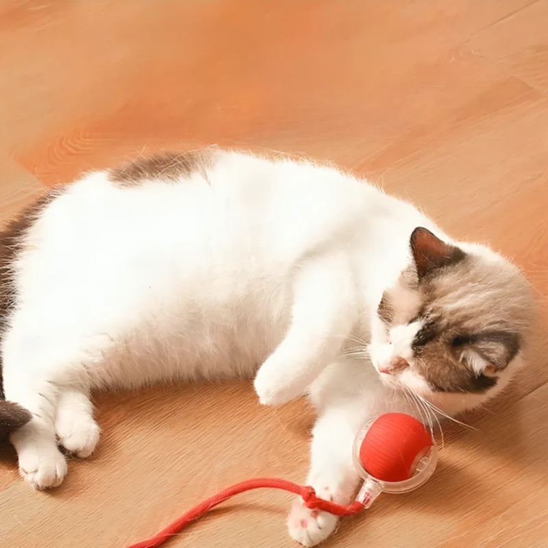 Interaktiver Katzenball-Teaser™ | Emotionaler Spielspaß Für Katzen