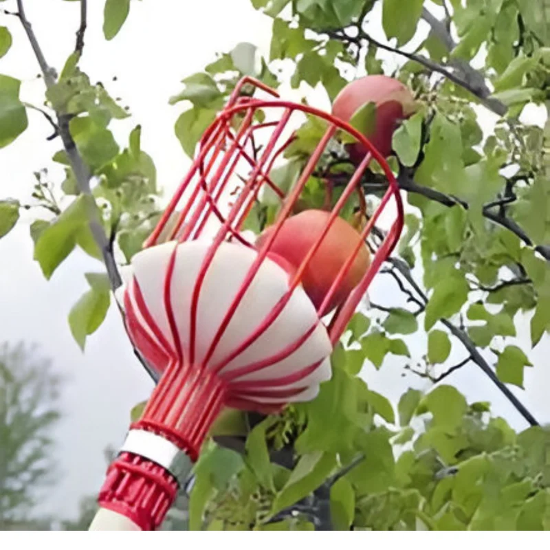 Baumstab-Obstpflücker™ | Erntehilfe für hohe Bäume