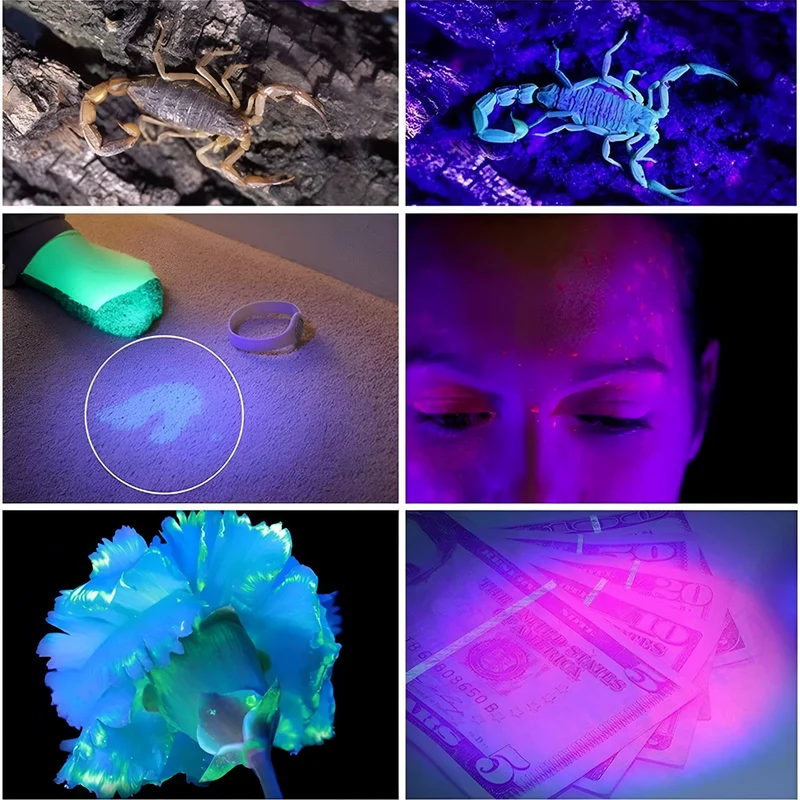 Taschenlampe 365 nm Ultraviolett™ | Magisches UV-Licht, unsichtbares wird sichtbar