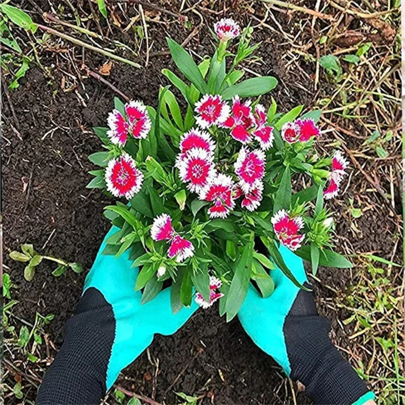 Gartenkrallenhandschuhe™ | Gartenarbeit leicht gemacht