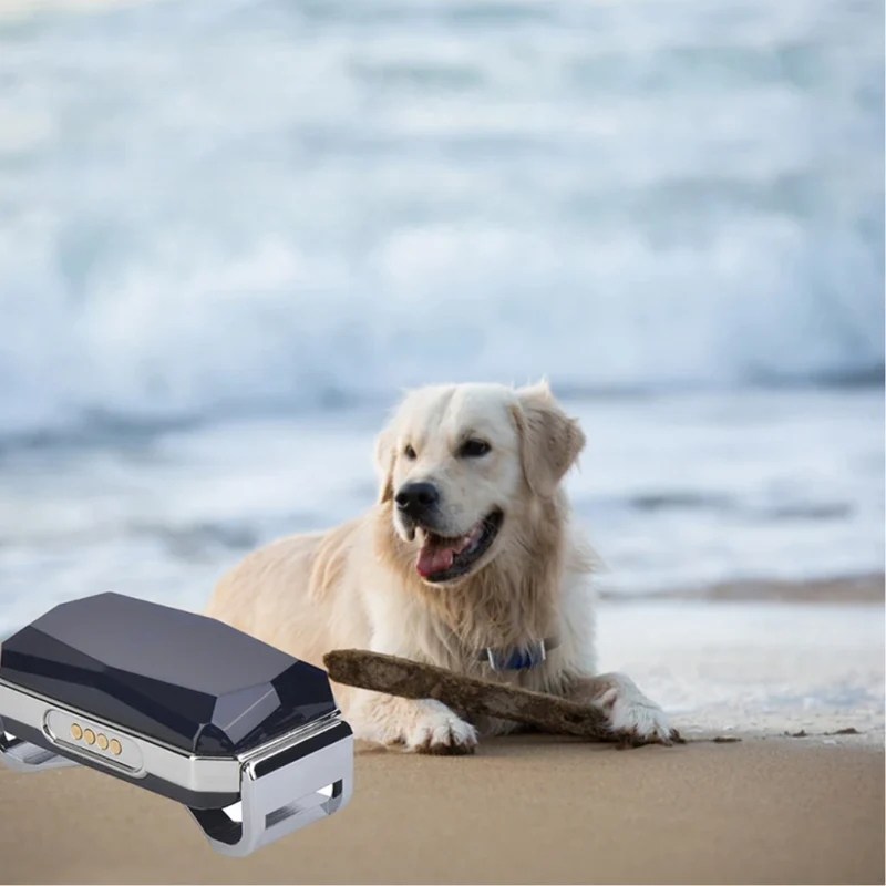 Pet G12 GPS tracker™ | Sicherer Begleiter für dein Haustier
