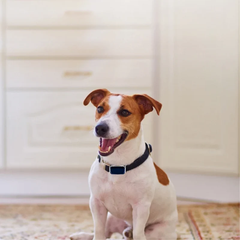 Pet G12 GPS tracker™ | Sicherer Begleiter für dein Haustier