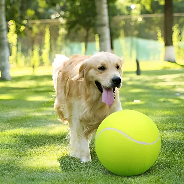 Verdella's - Monster Tennis Ball