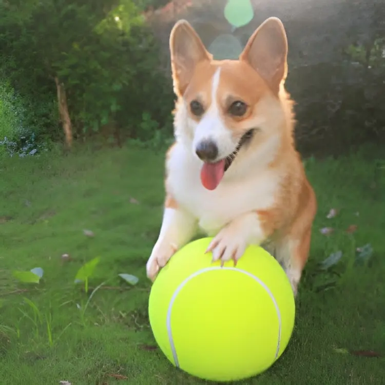 Verdella's - Monster Tennis Ball