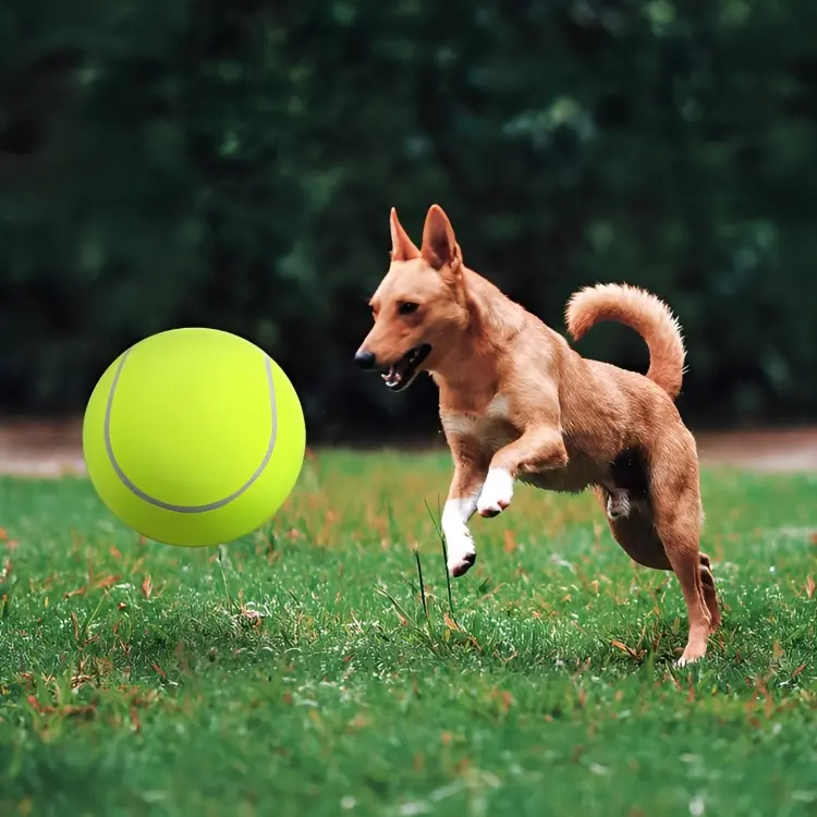 Verdella's - Monster Tennis Ball