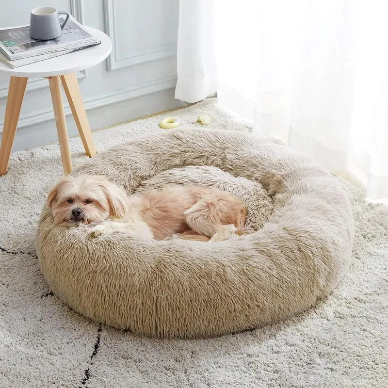 Katzenbett™ | Gemütlicher Rückzugsort für Katzen