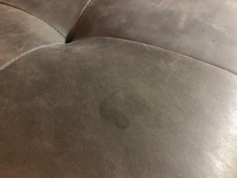 B-Ware KAWOLA Sofa WIOLO Schlafsofa Daybed Leder moosgrün